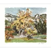 BRAYER Yves - Lithographie originale "Hameau en Provence" 56x68cm