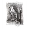 BUFFET Bernard - Gravure originale "L'Aigle" 76x58cm