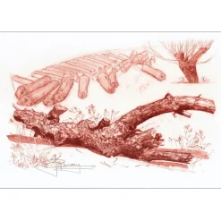 CARRANCE Raymond - Lithographie originale sur soie "Le vieux bois" 40x59cm