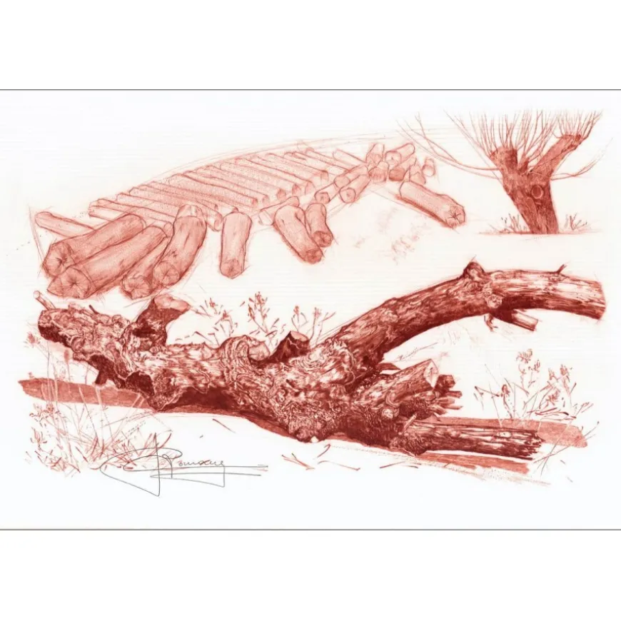 CARRANCE Raymond - Lithographie originale sur soie "Le vieux bois" 40x59cm