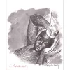 CHAPELAIN-MIDY Roger - Lithographie "Femme" 27x21cm - 1963 - Signée à l'encre