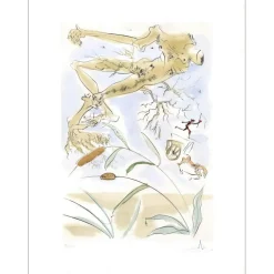 DALI Salvador - Gravure originale "Le chêne et la roseau" 56x76cm - 1974 - Vélin