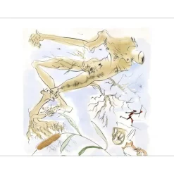 DALI Salvador - Gravure originale "Le chêne et la roseau" 56x76cm - 1974 - Vélin