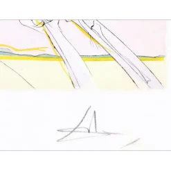 DALI Salvador - Gravure originale "Le cheval et le loup" 56x76cm - 1974