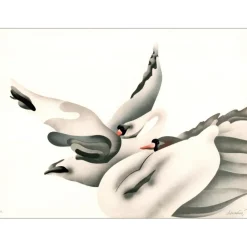 DONADINI Jean Paul - Lithographie originale "Les deux cygnes" 49x66cm