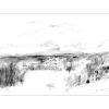 GANTNER Bernard - Dessin au fusain "La prairie" 30x42cm