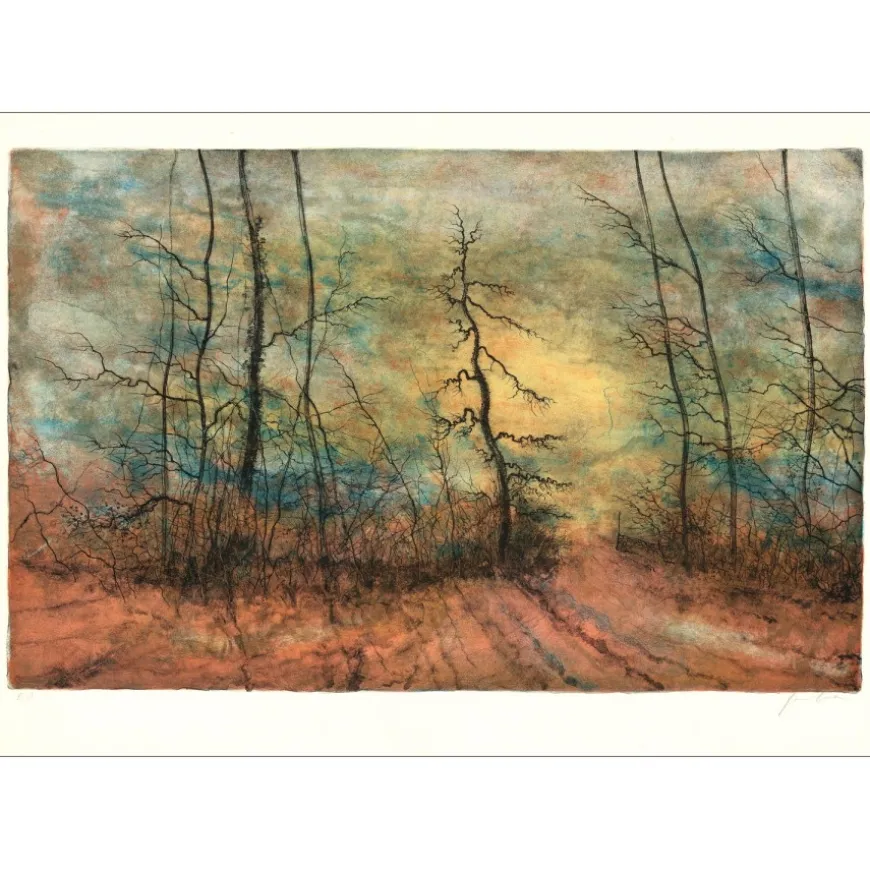 GANTNER Bernard - Lithographie originale "La forêt" 53x76 cm