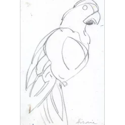 HILAIRE Camille - Dessin au crayon "Le Perroquet" 32x21cm