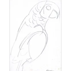 HILAIRE Camille - Dessin au crayon "Le Perroquet" 36x25cm