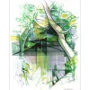 HILAIRE Camille - Ouvrage "Où passent nos rivières" 20 lithographies originales signées