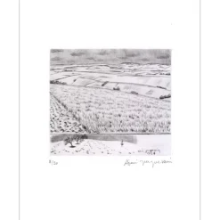 JACQUEMIN André - Gravure originale "Paysage 14" 32x25cm - 1984