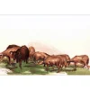 LETELLIER Pierre - Lithographie originale "Le troupeau de chèvres" 35x53cm