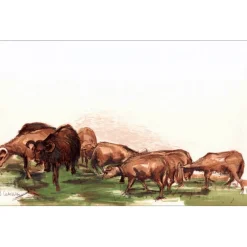 LETELLIER Pierre - Lithographie originale "Le troupeau de chèvres" 35x53cm