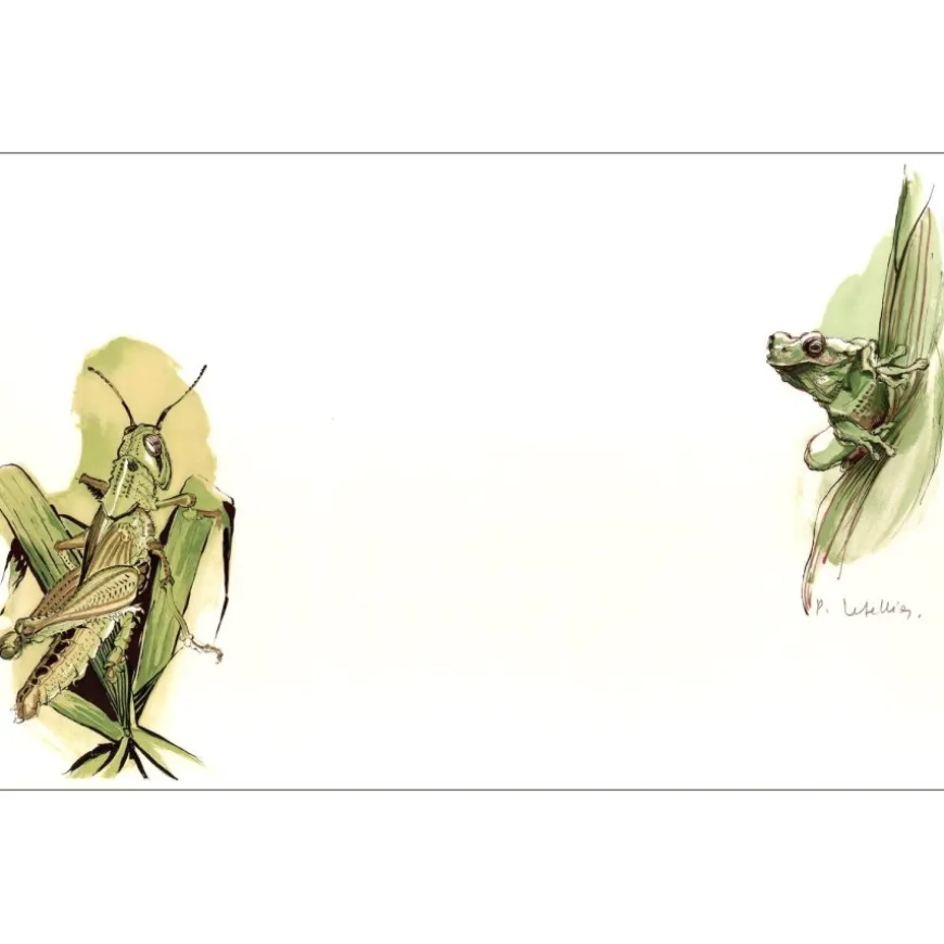 LETELLIER Pierre - Lithographie originale "La Sauterelle et la grenouille" 35x53cm