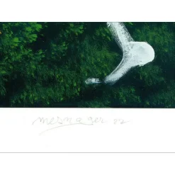 MESNAGER Jérôme - Lithographie "Dansons sous les arbres" 70x50cm - 2022