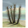 NOLOT Pierre - Lithographie originale "Arbres en bord de mer" - 72x56cm - 1974