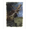 OUDOT Roland - Lithographie originale "Le chêne et le roseau" 38x28cm - 1961