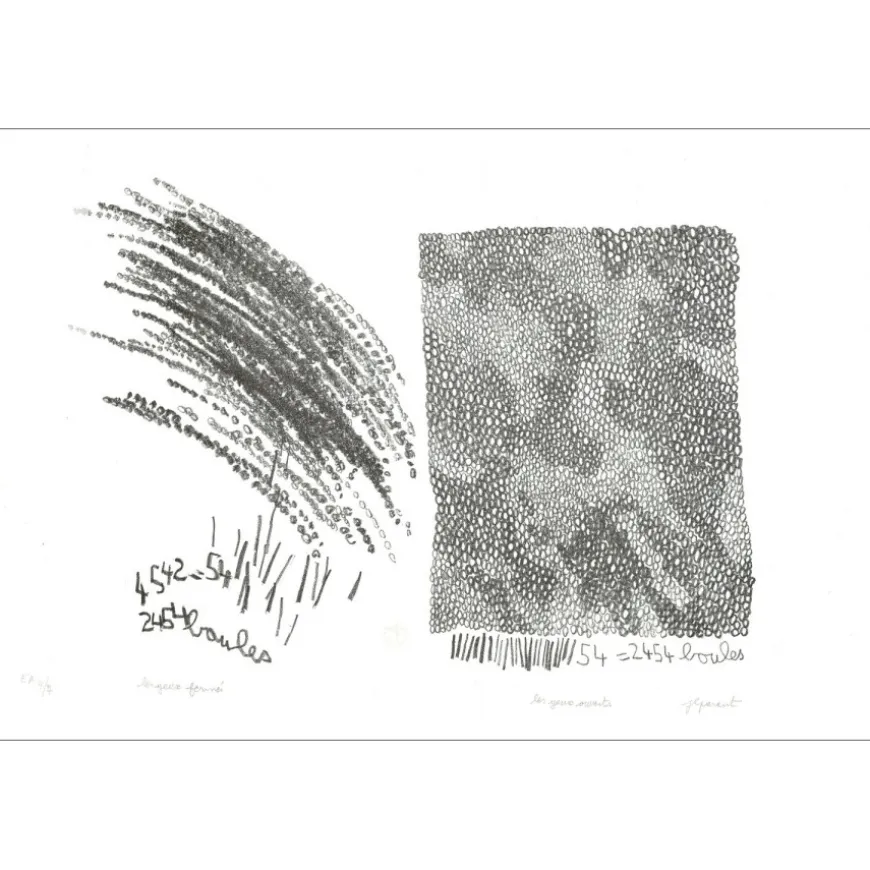 PARANT Jean-Luc - Lithographie originale "Yeux ouverts, yeux fermés" 38x56cm - 2013