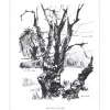 PLISSON Henri - Lithographie signée au crayon "Un vieil arbre" 27x21cm - 1961