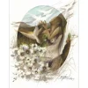 POULET Raymond - Lithographie originale "Femme aux colombes" 64x49cm