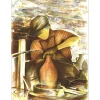 POULET Raymond - Lithographie originale "Le Potier" 37x27cm - 1984