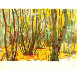ROHNER Georges - Lithographie originale "La forêt" 51x66cm