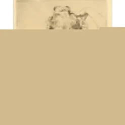 ROYER Henri-Paul - Gravure originale "Portrait de jeune fille" 23x17cm - 2eme état 1/1