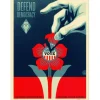 SHEPARD FAIREY (OBEY) - Sérigraphie "DEFEND DEMOCRACY" 61x46cm - 2023