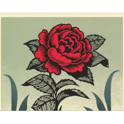 SHEPARD FAIREY (OBEY) - Sérigraphie "EYES OPEN" 91x61cm
