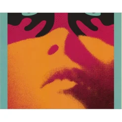 SHEPARD FAIREY (OBEY) - Sérigraphie "SHADOWPLAY" 91x61cm