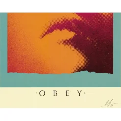 SHEPARD FAIREY (OBEY) - Sérigraphie "SHADOWPLAY" 91x61cm