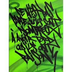 SONER David - Peinture originale Acrylique et Aérosol sur papier "Caligrafitizm 36" 70x50cm - 2023