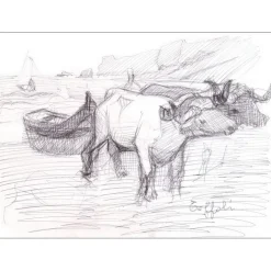 TOFFOLI Louis - Dessin original à l'encre "Chine, Bœufs tirant une barque" 26x35cm + Cadre 50x61cm