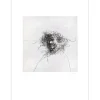 WEISBUCH Claude - Gravure originale "Les traits du visage" 76x56cm - 1973