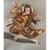 WEISBUCH Claude - Huile sur Toile "Le Danseur de Kabuki" 81x65cm (25F)