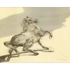 WEISBUCH Claude - Lithographie originale "Le cheval" 56x76cm - Circa 1980