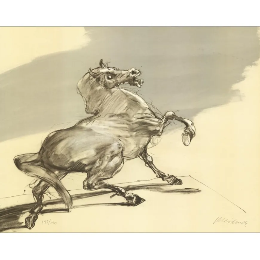 WEISBUCH Claude - Lithographie originale "Le cheval" 56x76cm - Circa 1980